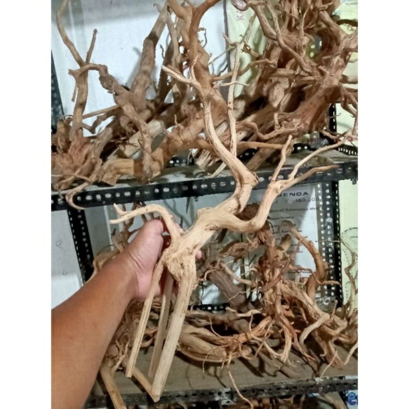 kayu rasamala ukuran jumbo,xl,L,m,s kayu rasamala aquascape dan aquarium