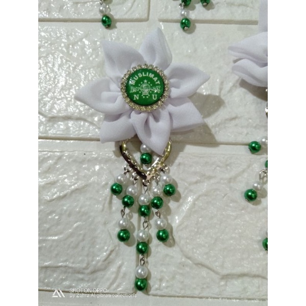 Bros muslimat dan Fatayat NU