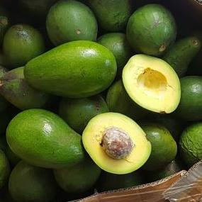 

ㄳ Buah Alpukat mentega Segar STOK BANYAK 2387 ♛