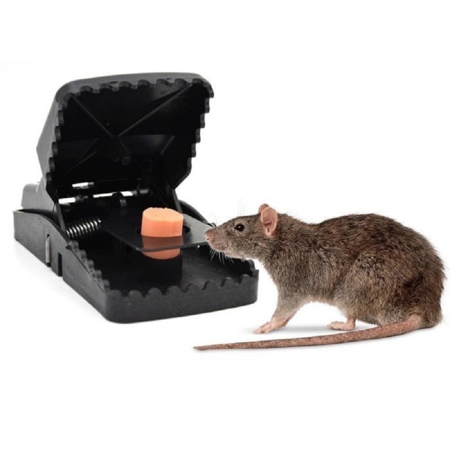 Perangkap Jebakan Tikus Jepit Gigit Tikus Mouse Trap Otomatis