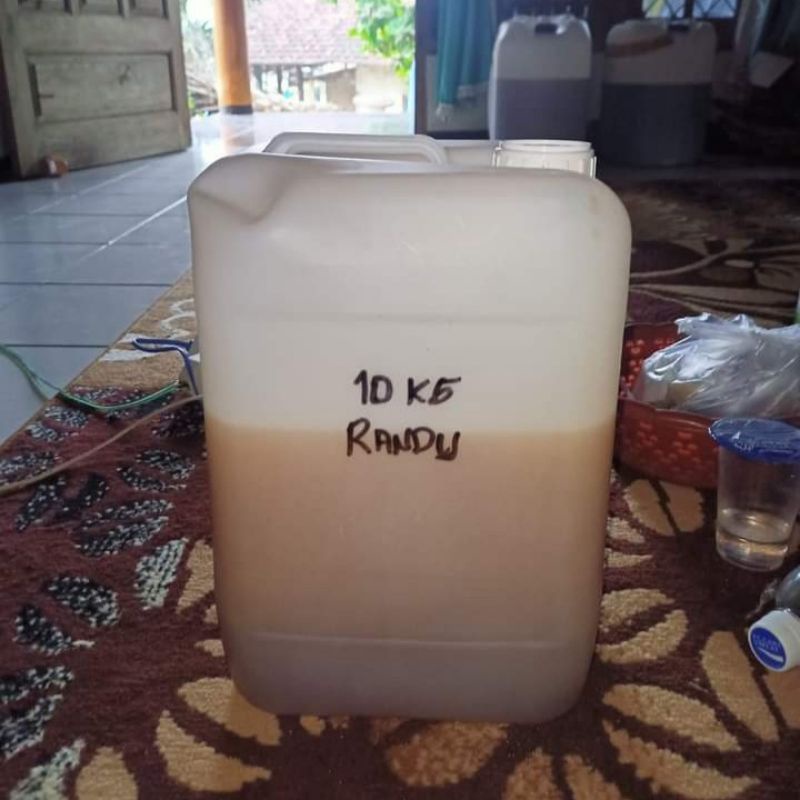 

GROSIR Madu Randu Asli Murni Nektar 10 KG . 100% Original Raw Honey . Tanpa Campuran Apapun .