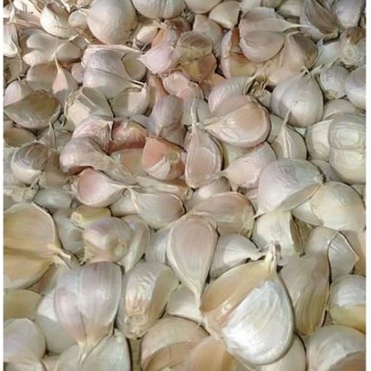 

BAWANG PUTIH KATING PER 100 GRAM bawang putih potekan kemasan 100 gram