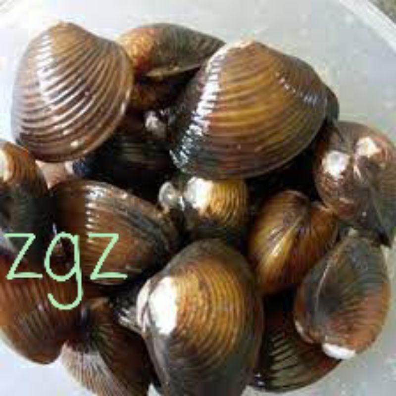 

cece / rmis herbal air tawar 400gr