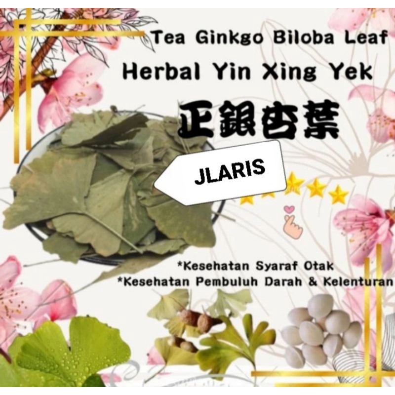 100 gram Obat Herbal Ginkgo Leaf Super Ginkgo Biloba Ginko