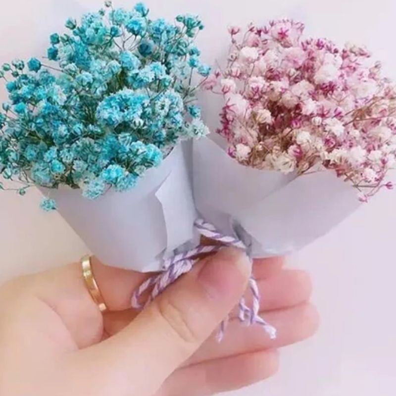 (5 LEMBAR) FLOWER WRAPPING CELLOPHANE DOFF / BUNGKUS BUNGA / KERTAS BUNGA