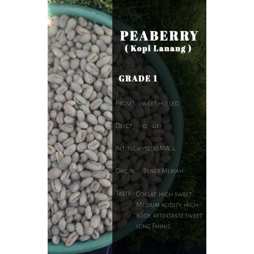 

green beans PEABERRY [ kopi lanang ] washed weet hulled
