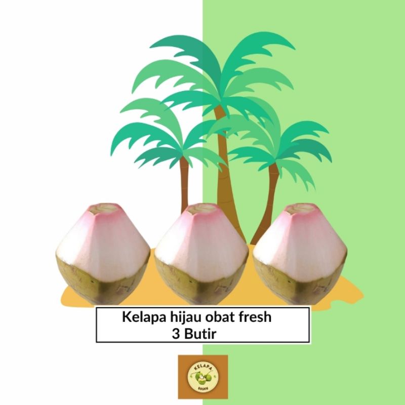 

kelapa ijo / kelapa obat fresh (3 butir)