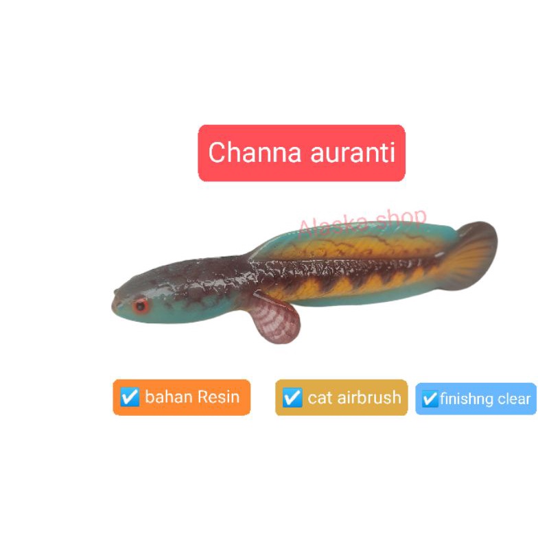 Patung ikan Channa auranti bahan resin