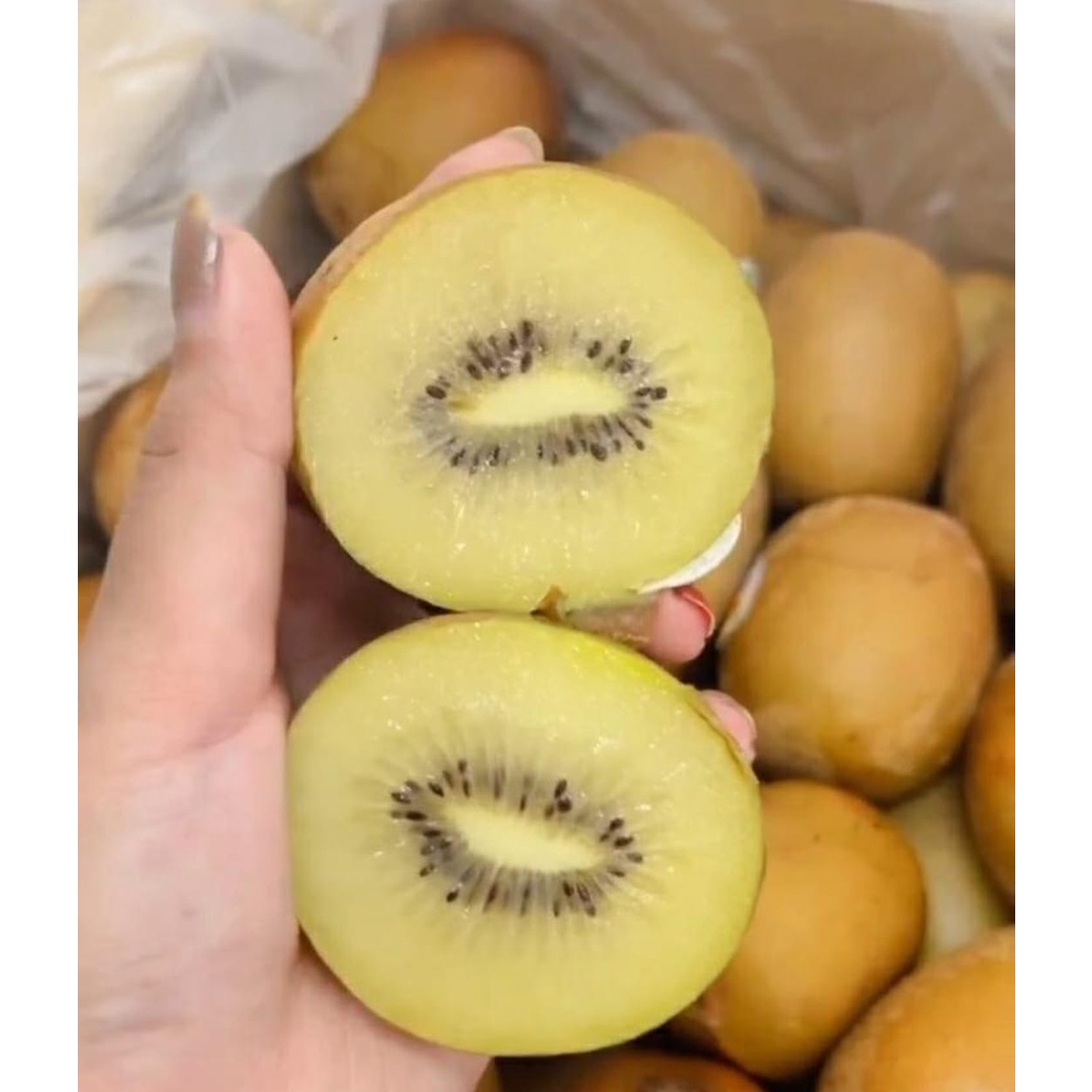 

Buah Kiwi Green dan Gold Fresh Segar Manis