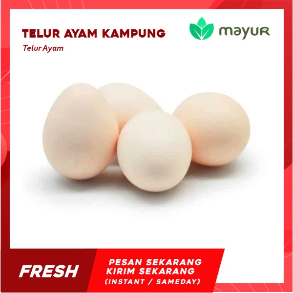 

Telur Ayam Kampung Unggul - 5 Butir