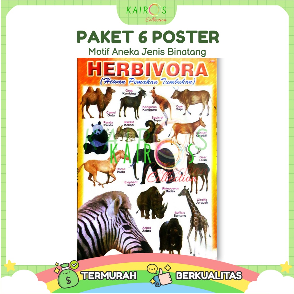 Poster Anak Edukasi Belajar Binatang Paket Isi 6 Pcs