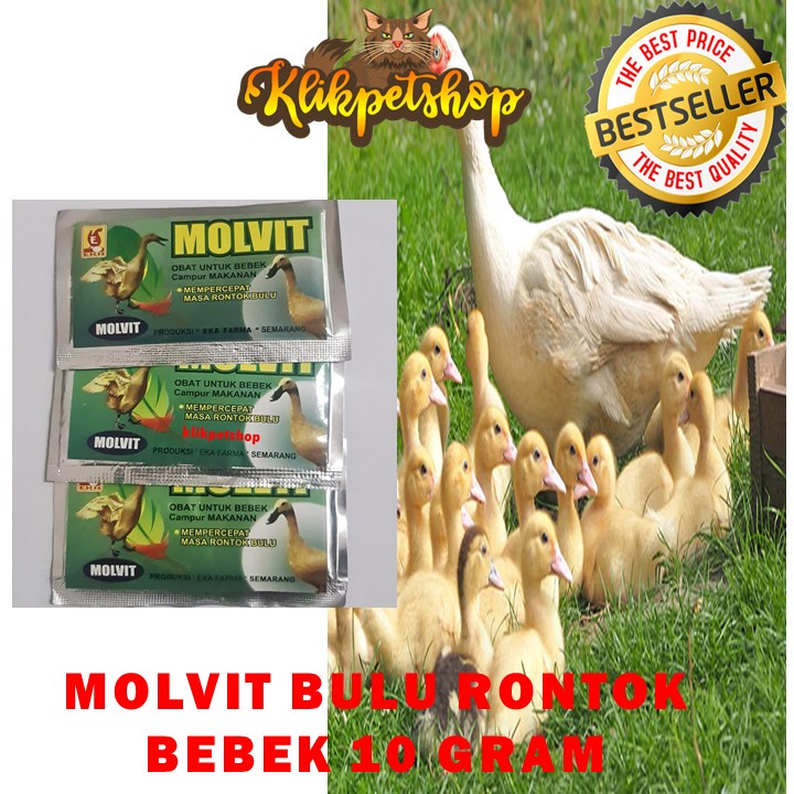 Molvit Vitamin Rontok Bulu Bebek 10 gr