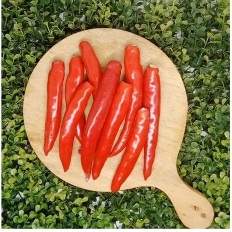 

Cabe Merah Besar PETIK [250 Gram]