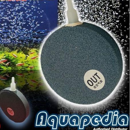 Air Stone/Batu Aerasi Bulat Pipih 15 cm