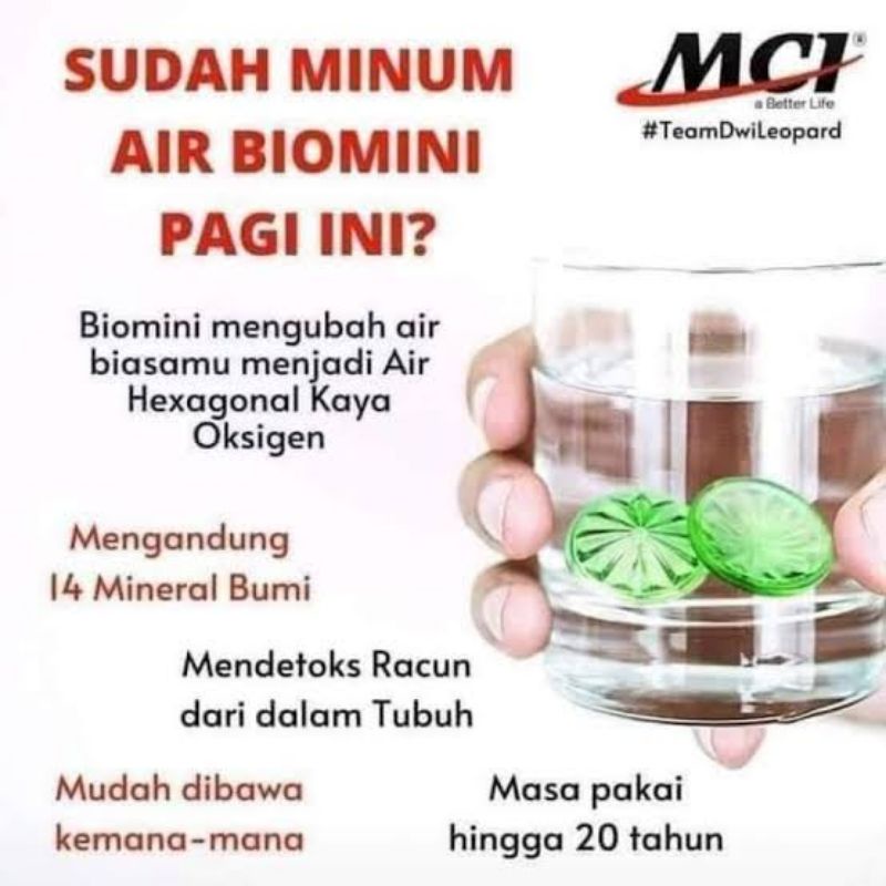 Bioglass Mini Single V.4 FREE TUMBLER