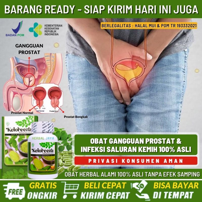 Obat Radang Prostat 100% Herbal Alami, Obat Penyakit Prostatitis, Prostat Membesar Bengkak, Gangguan