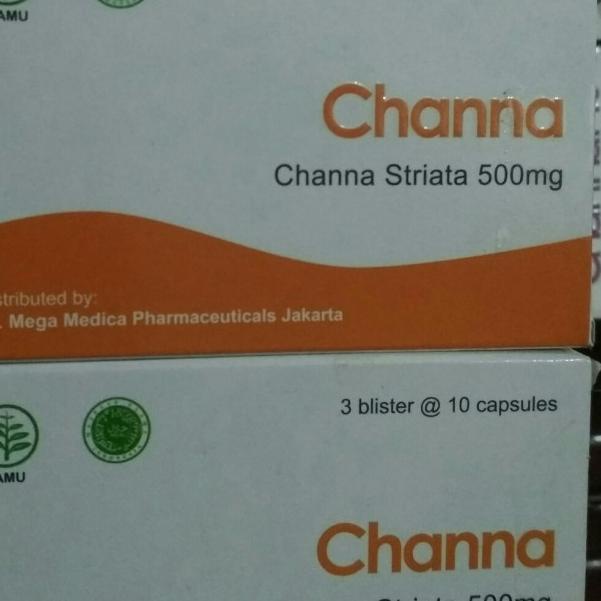 channa striata 500mg ekstrak ikan gabus
