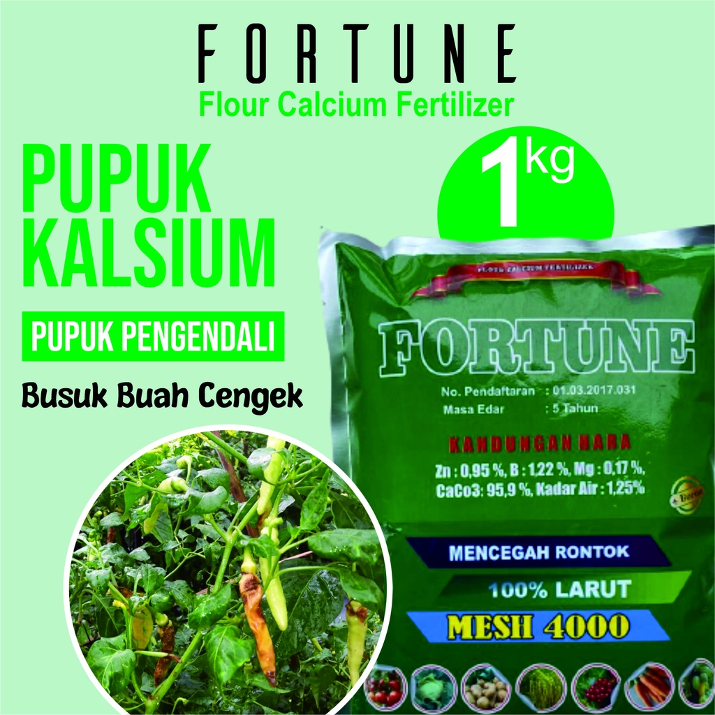 COD Obat Penyakit Patek Busuk Cabe/Cabai Fortune 1 KG - Pupuk Cabe Lebat Atasi Busuk Kering Patek/An