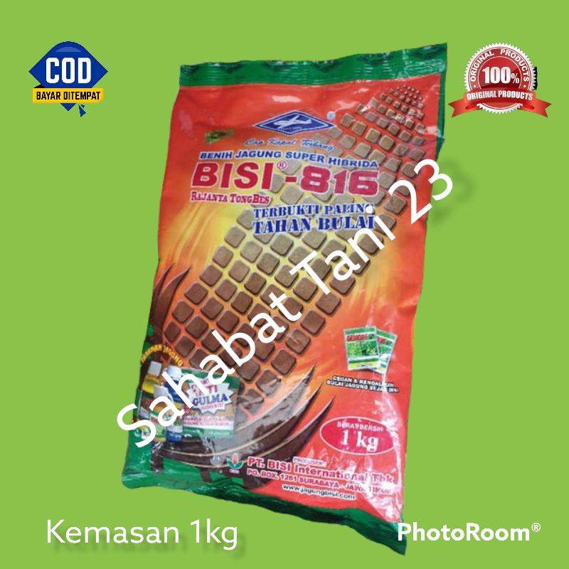Bibit jagung hibrida BISI 816 kemasan 1kg