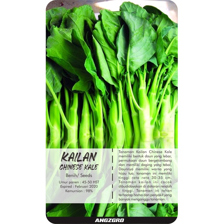 ANGZGRO Kailan Seed (Chinese kale) 1000 Seeds