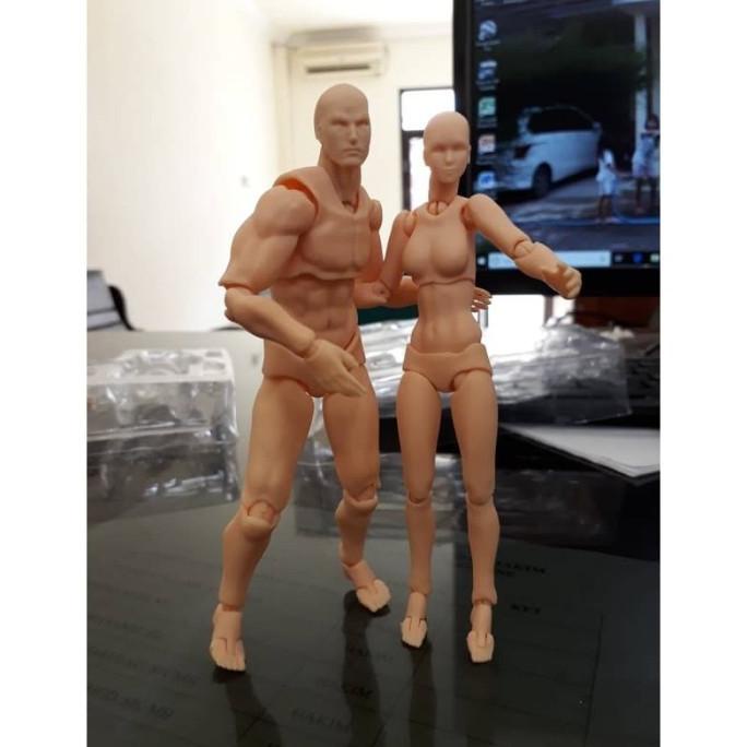 Figma Archetype Male/Female Polos Model Tubuh anatomi Pria/Wanita