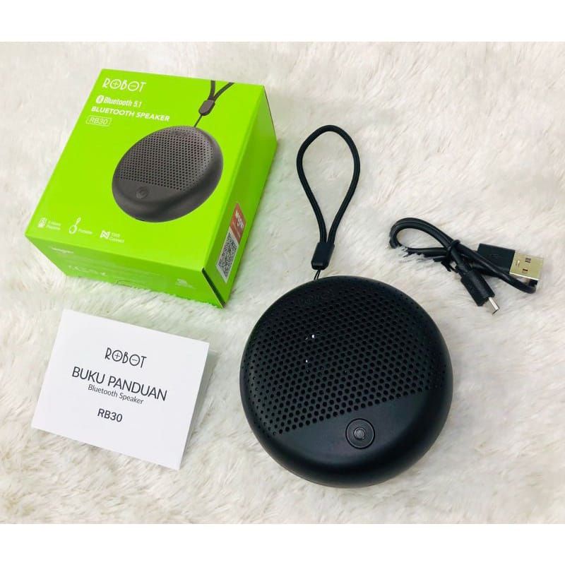 Speaker Robot RB 30