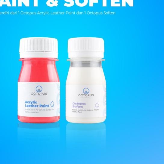 Cat sepatu canvas dan suede / not angelus suede dye