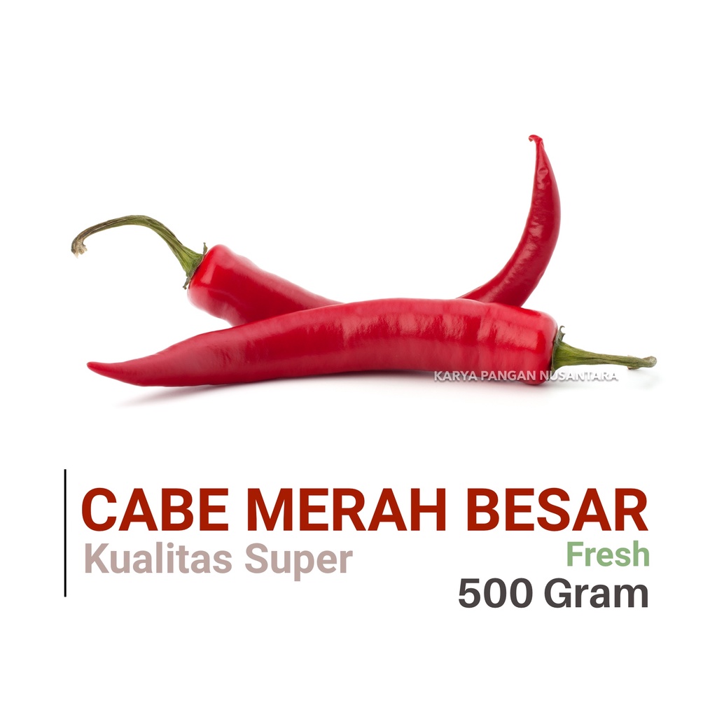 

CABE MERAH BESAR FRESH 500GR CABAI MERAH BESAR SEGAR LOMBOK 500 GRAM