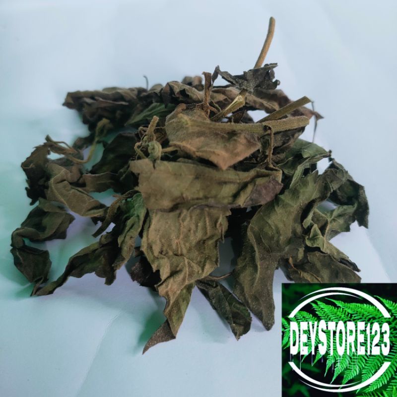 

paket 300 grm daun kirinyuh kering atou daun kopasanda