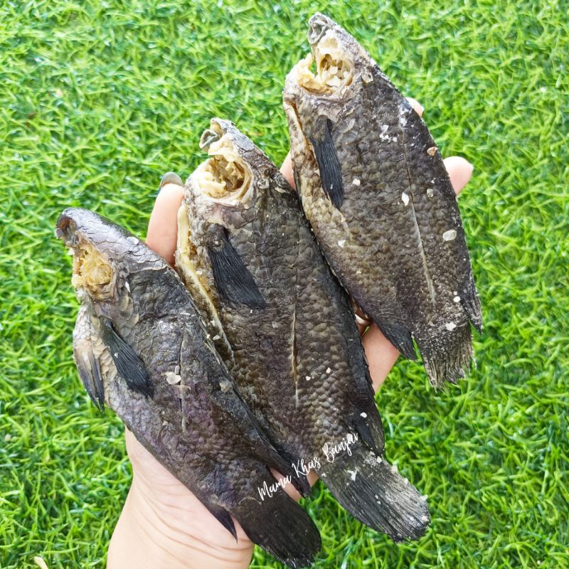 

Ikan Asin Wadi papuyu khas kalimantan 250gr