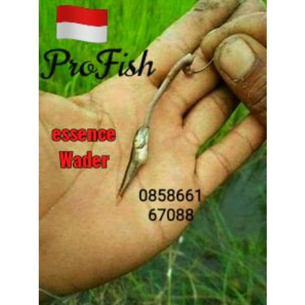 ESSEN SPECIAL IKAN WADER