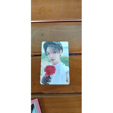 Felix Straykids photocard Maxident felix bunga