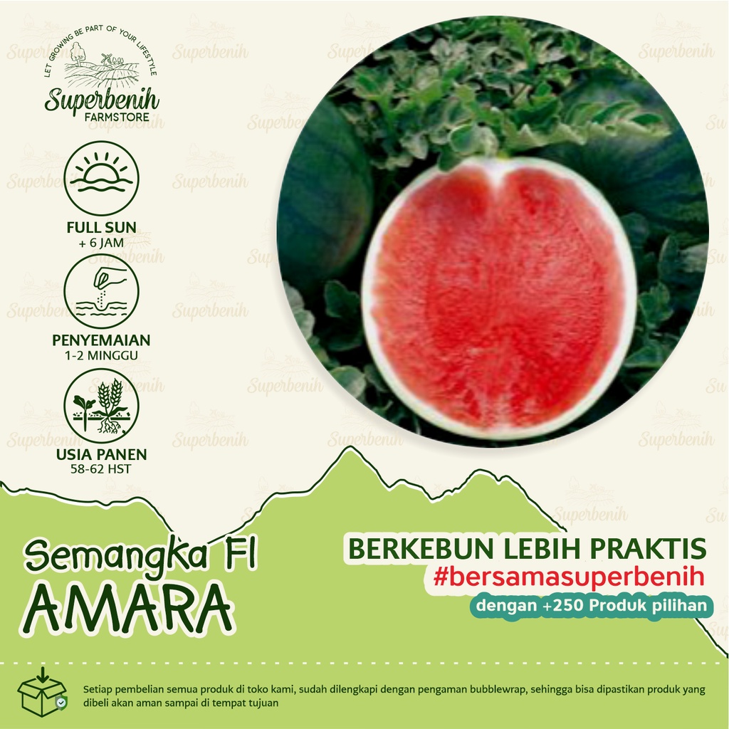 5 biji - Benih semangka AMARA F1 non biji (seedless)