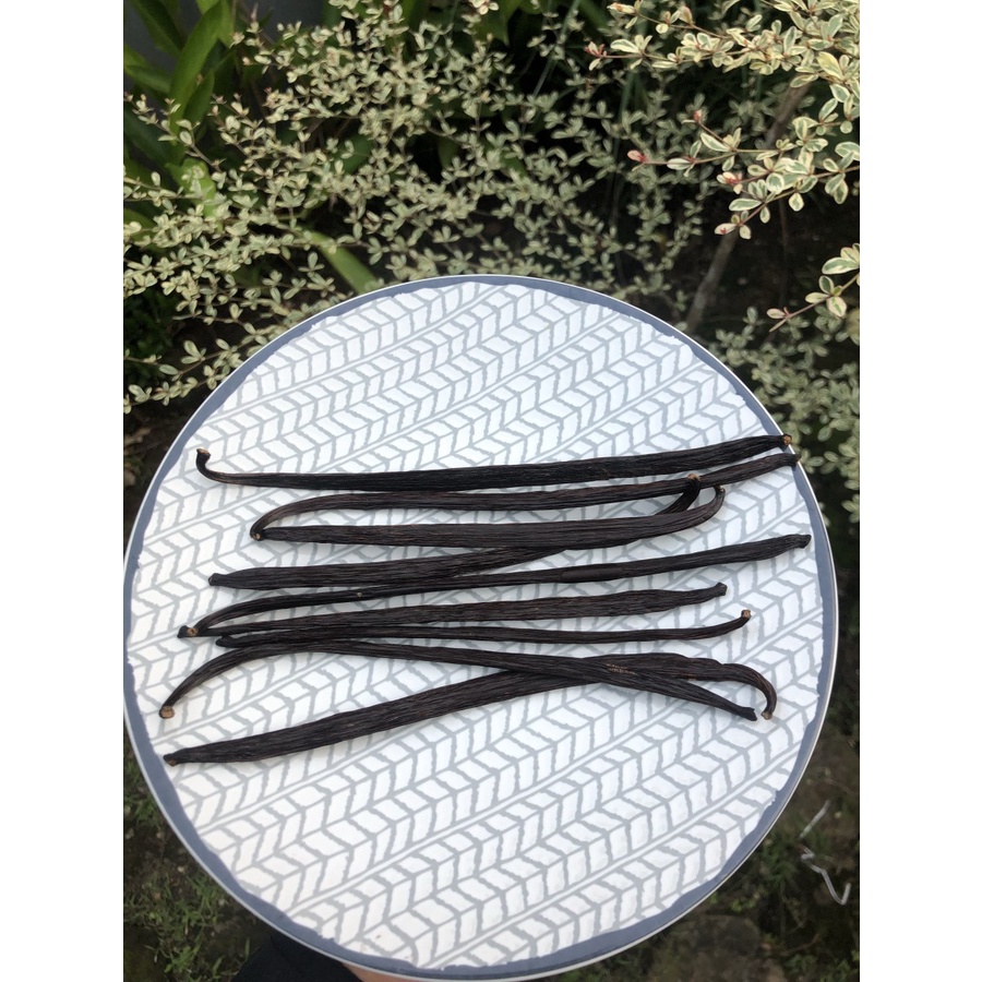 

Vanilla Bean / real vanilla / biji vanili