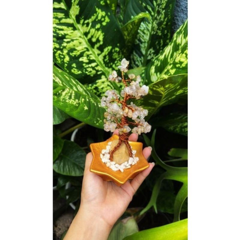 Pohon Kristal Fengshui Keberuntungan Lucky Tree Crystal Rambut Sedana