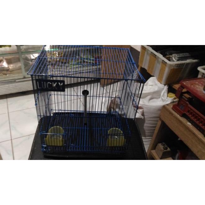 kandang kotak kecil lovebird