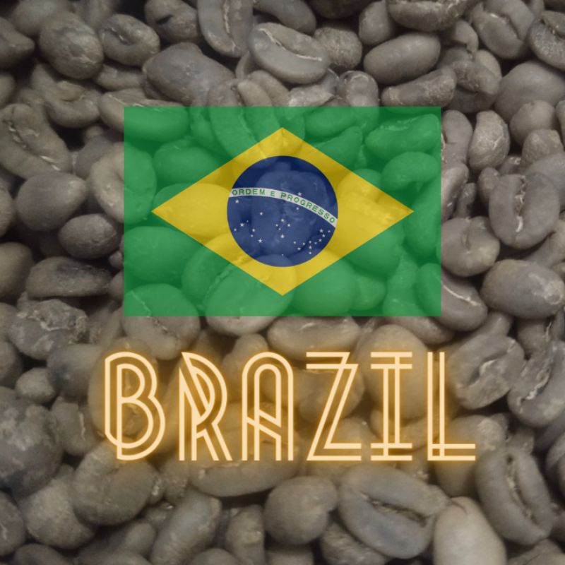

biji kopi / greenbean arabica Brasil washed - 500gr