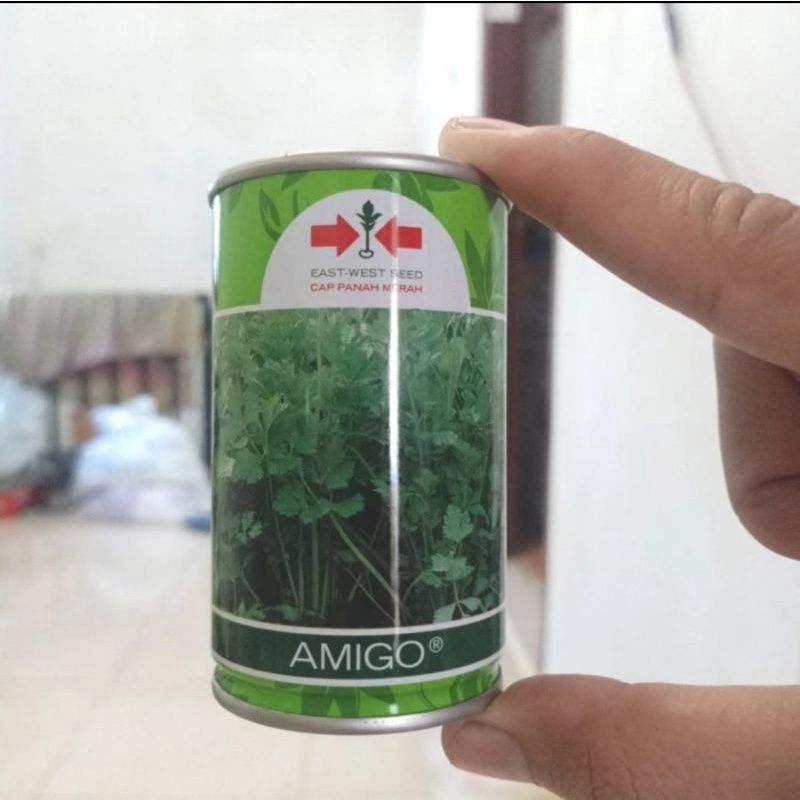 Benih Bibit Seledri Amigo 50 gram Kemasan Kaleng Pabrik