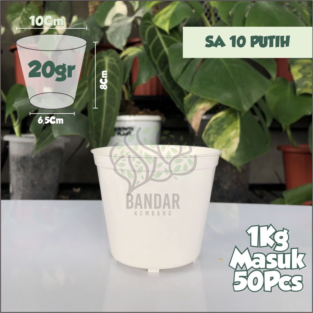 Pot Bunga Putih SA 10 Warna Putih - Pot Bibit Warna Putih Tanaman Bunga Hias
