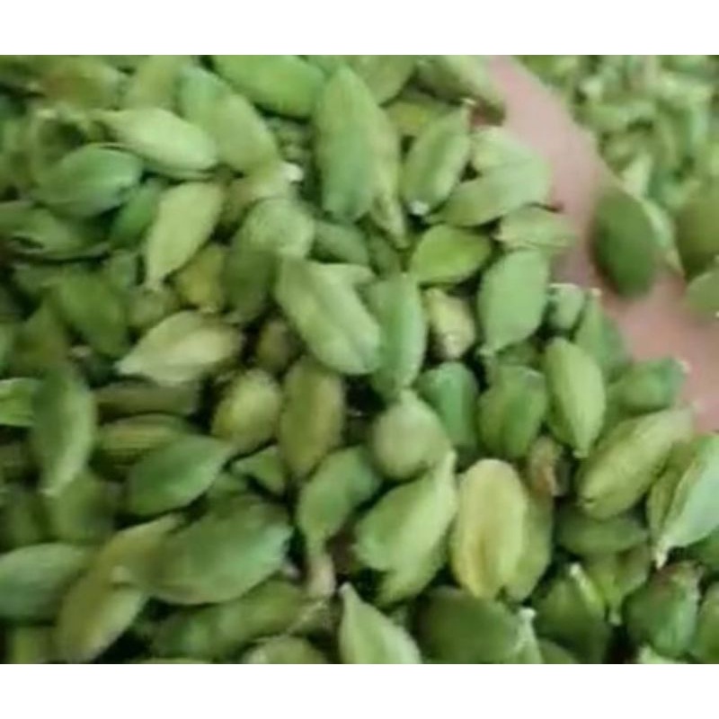 Jual Kapulaga Hijau Green Cardamom Gr Shopee Indonesia