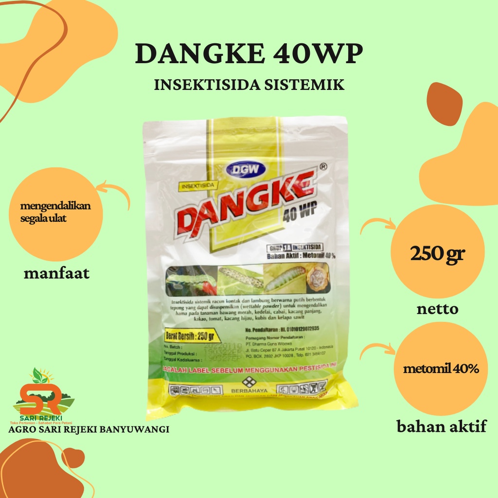 DANGKE 40WP 250GR INSEKTISIDA