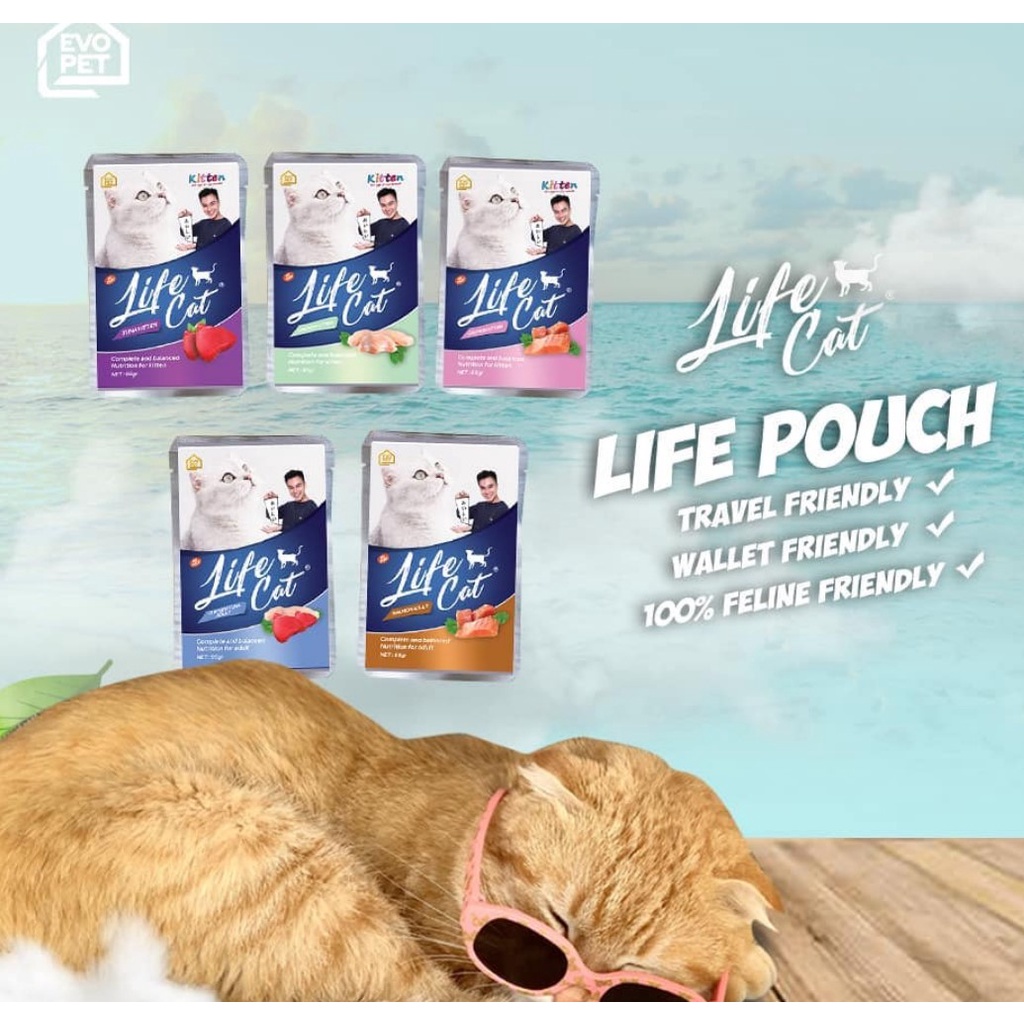 Life Cat Sachet 85gr Makanan Kucing Basah Wet Food