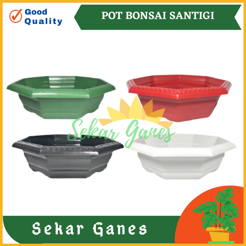 Pot Bonsai Santigi 30 Warna Warni Bonsai Segi 8 By Garden Of Love Pot Bonsai Kotak Ceper Kelapa