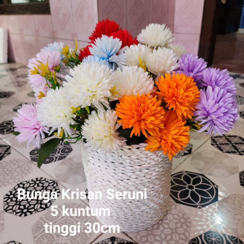 Krisan Seruni x5 Kuntum Jumbo / Bunga Pompom