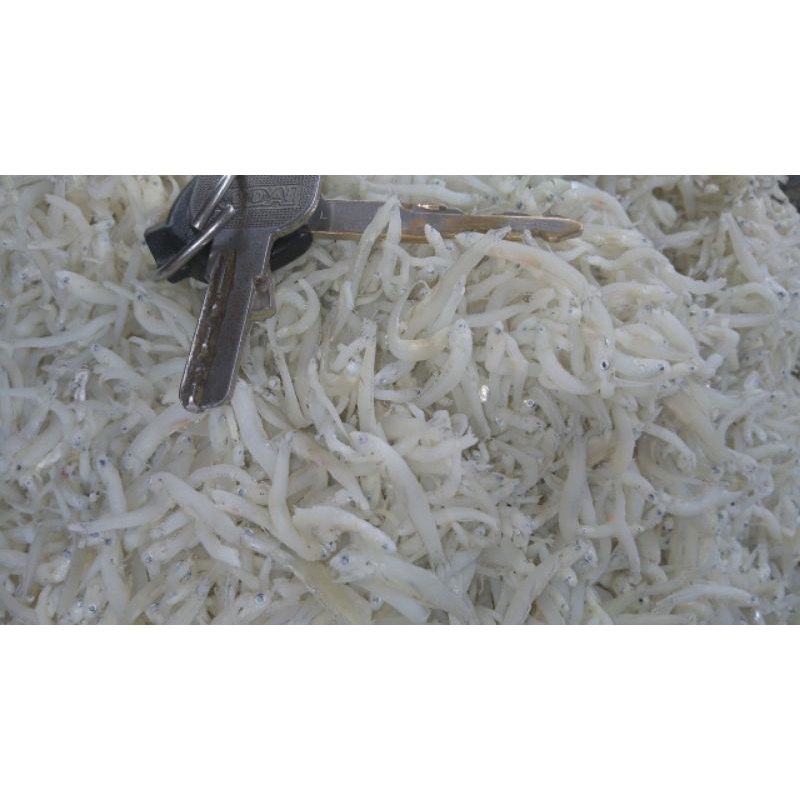 

teri medan