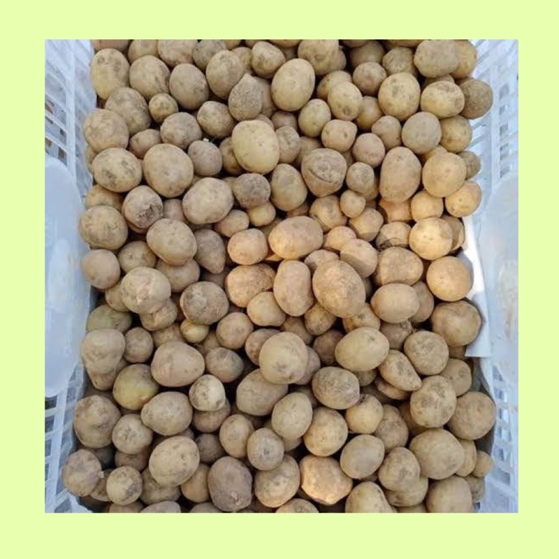 

Kentang baby / kentang rendang / kentang kecil