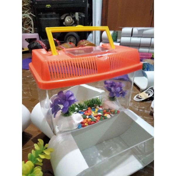 Akuarium Mini Ikan Cupang,Gopi,Canna,Kura-Kura Kecil