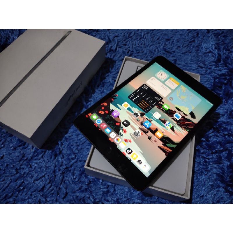 iPad mini 5 64gb Wifi only