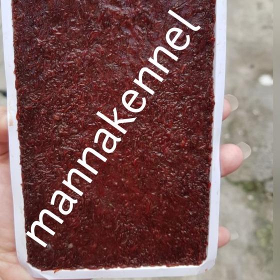 cacing darah beku/frozen bloodworm/cabek/cacing beku tray kiloan 1kg