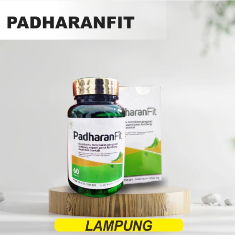 padharanfit asli obat herbal cina ampuh lambung mual perut kembung gerd kronis